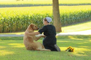 Beat the Heat: Signs of Overheating and How to Prevent It