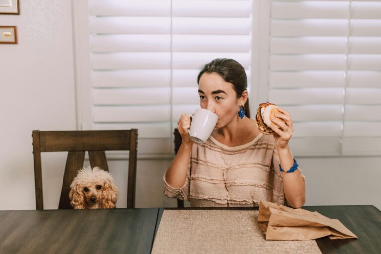 Summer Foods for Dogs