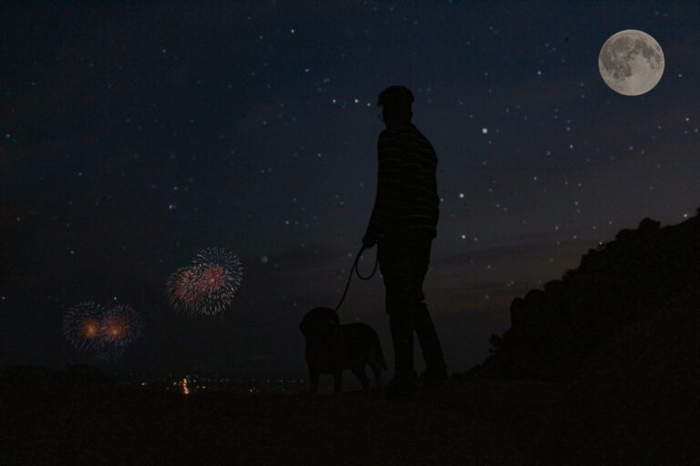 Surviving Fourth of July: Noise Anxiety and Fireworks