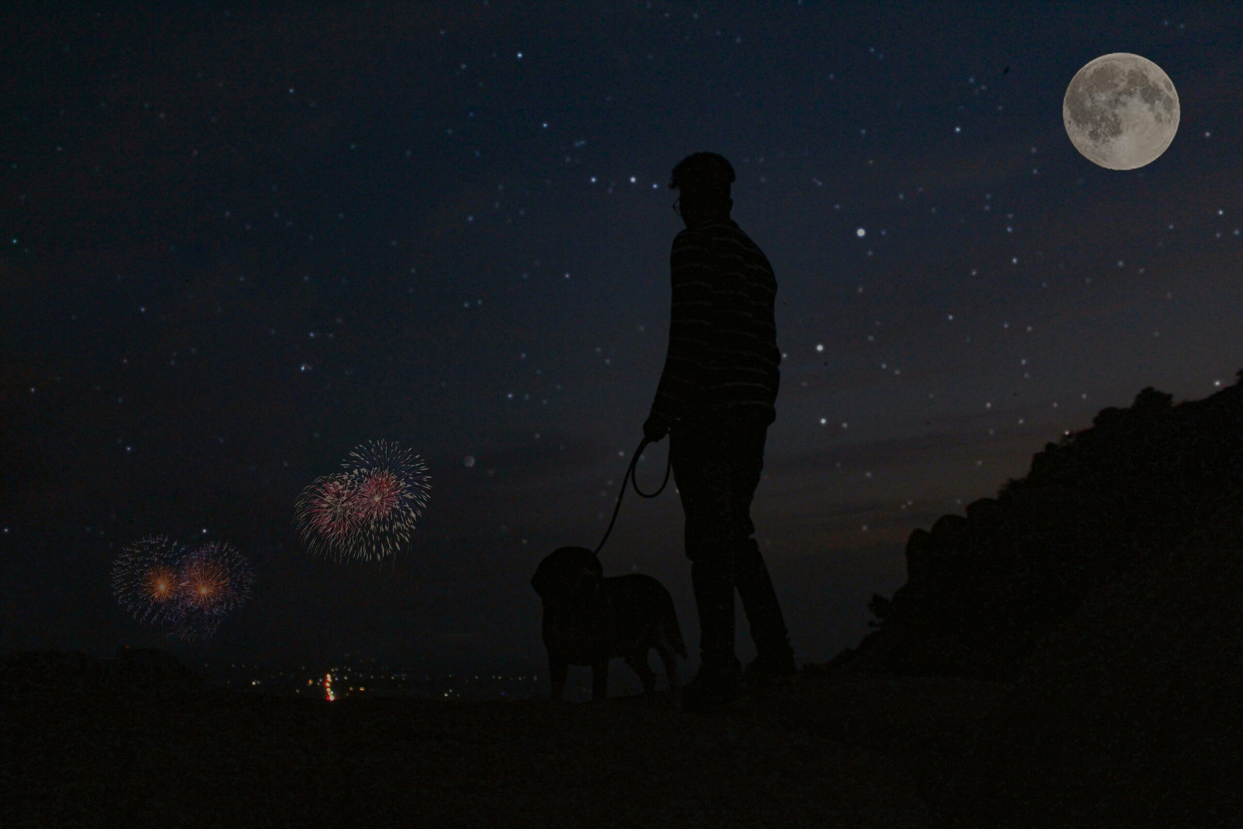 Surviving Fourth of July: Noise Anxiety and Fireworks