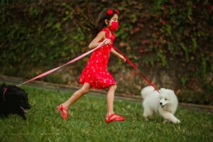 Training Tips for Families With Kids and Dogs