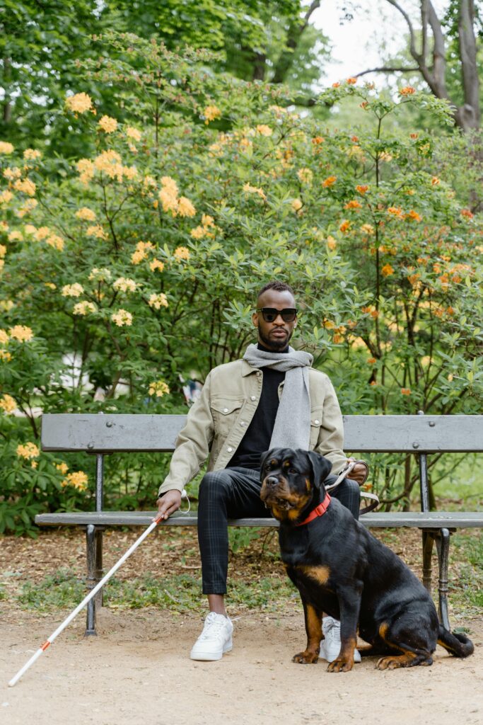 Socialization 101: Proven Confidence Boost for Dogs