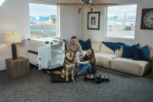 Crate Training 101: The Simple Positive Approach