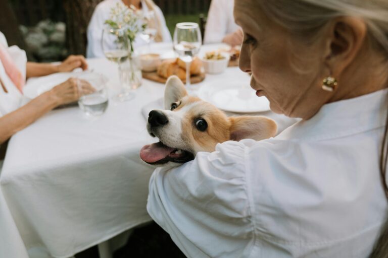 Thanksgiving Table Rules for Dogs: For a Happy Holiday