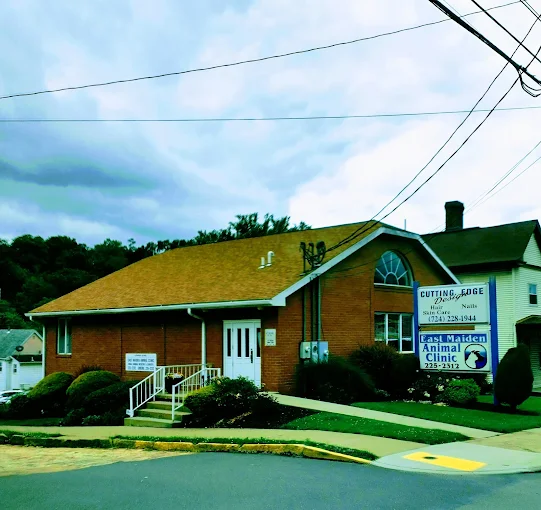 Reducing Stress During Vet Visits Through Obedience Training