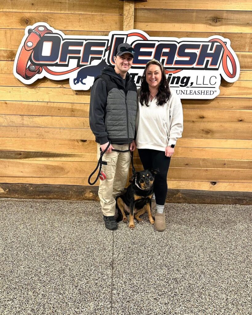 Dog Adoption: When to Start Off-Leash Training