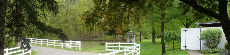 Carriage Hill Pet Resort