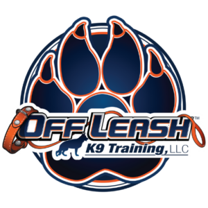 Samantha Jamison — Off Leash K9 Training of Pittsburgh